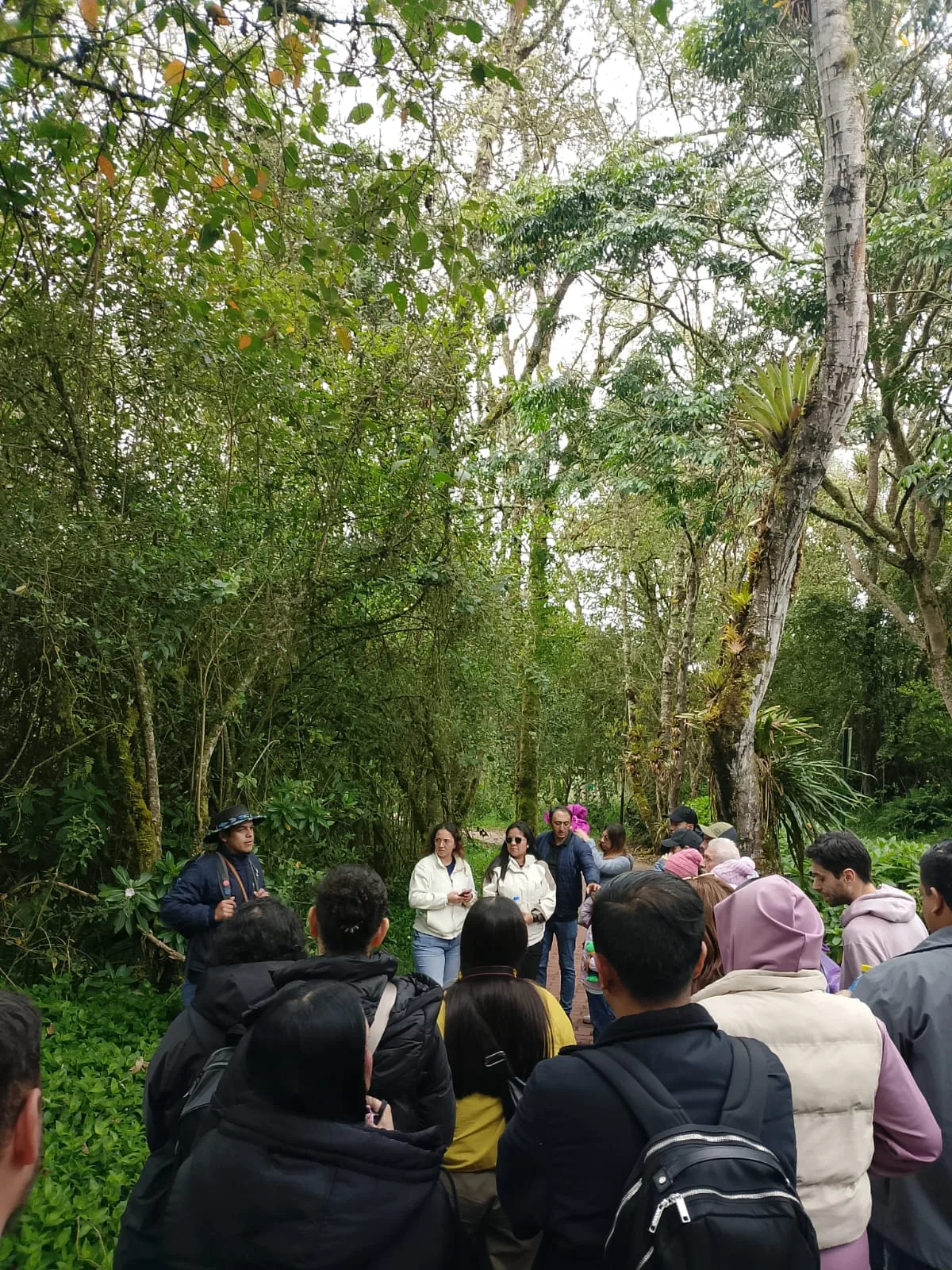 Guía profesional en ruta de senderismo ecológico