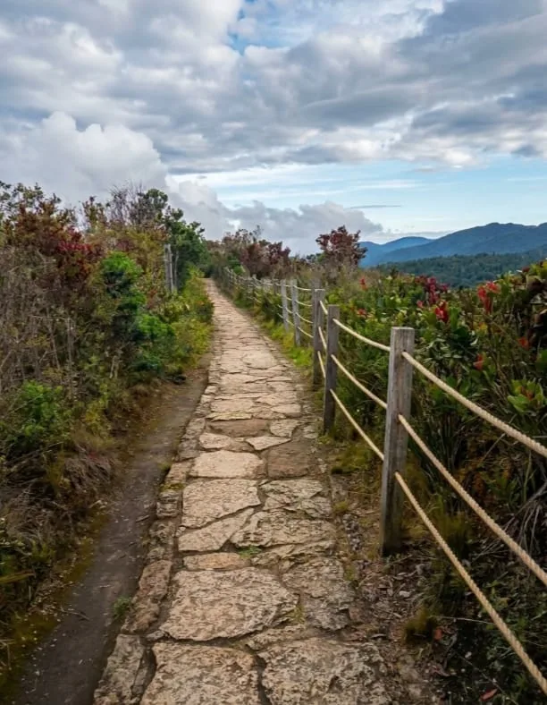 Sendero ecológico en piedra
